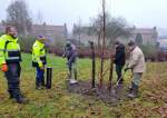 bomen-planten-groenbrigade-8dec2023